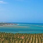 Praia da Barra de São Miguel. Alagoas