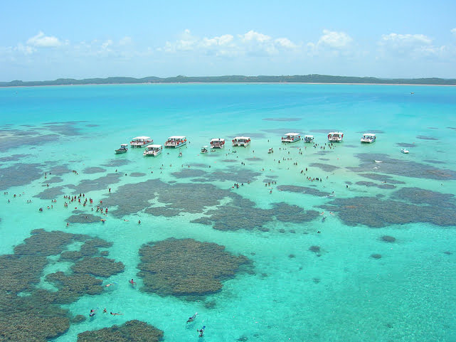 Galés-de-maragogi Praia de Maragogi