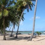 Praia de Japaratinga. Alagoas. Brasil