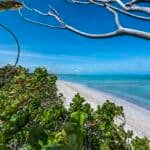 Praia do Patacho. Alagoas