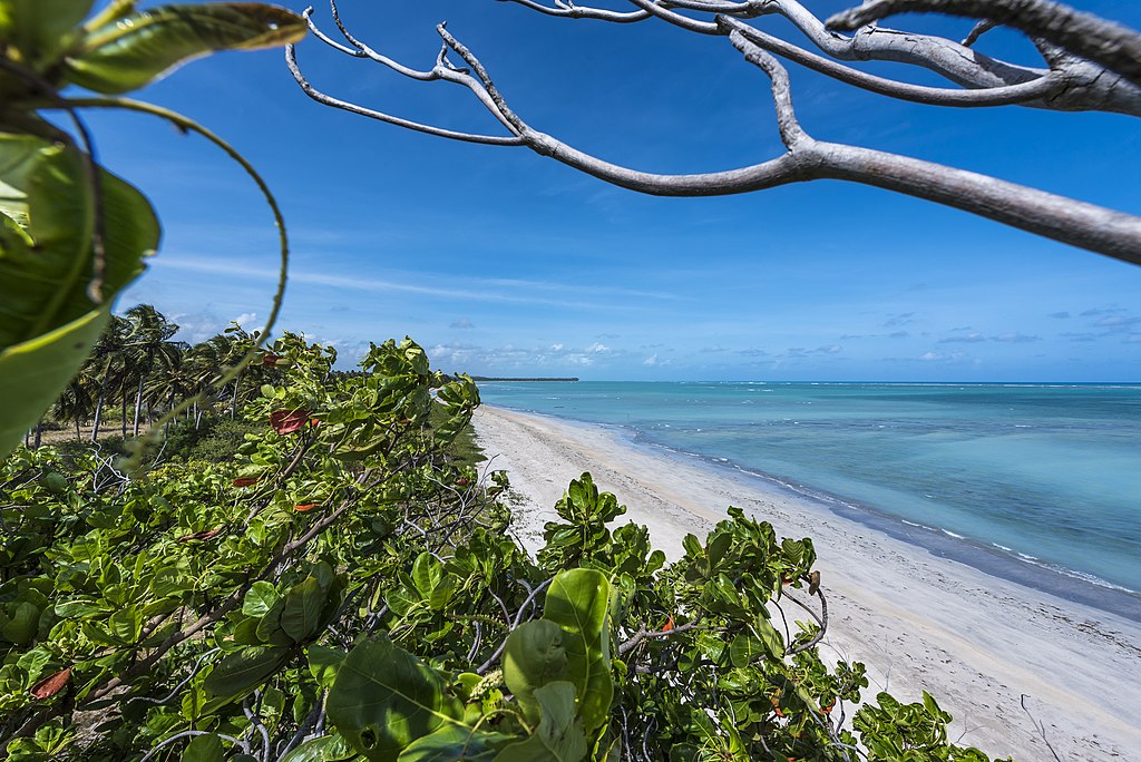 Praia_de_Patacho Praia do Patacho. Alagoas