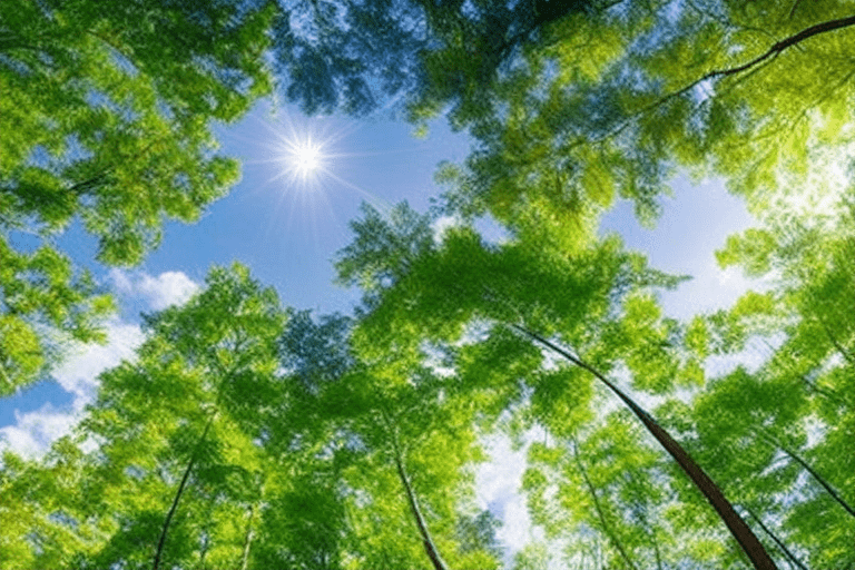 Imagem de uma floresta criada com Inteligência Artificial em Playground AI