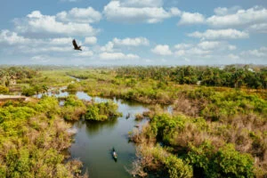 Pantanal sul-mato-grossense