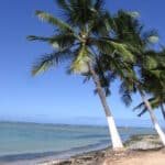 Praia de Ponta Verde. Alagoas