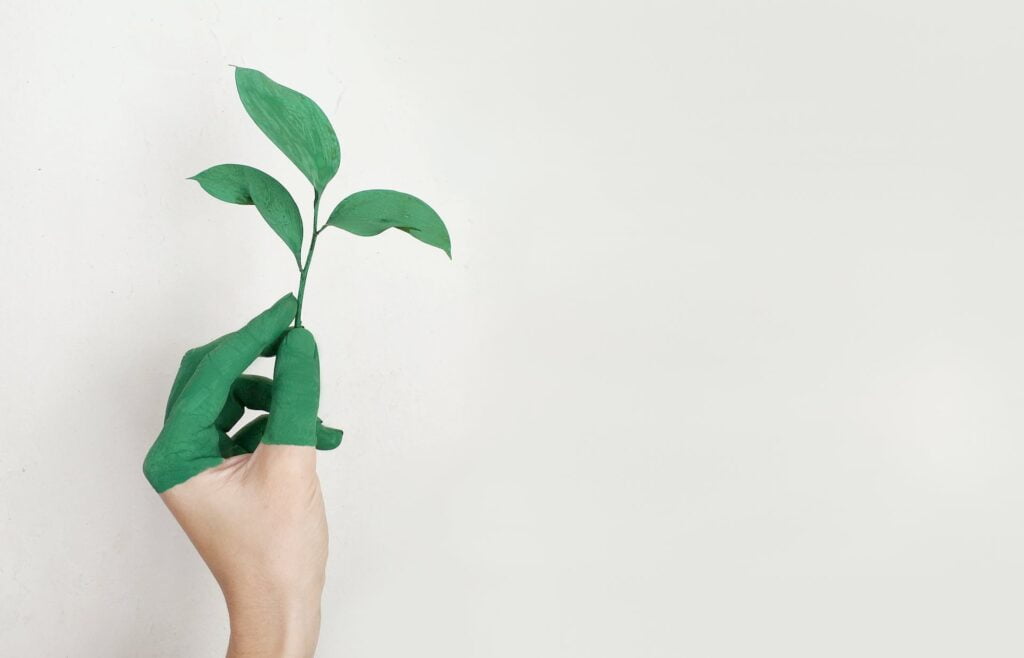 Conservação ambiental