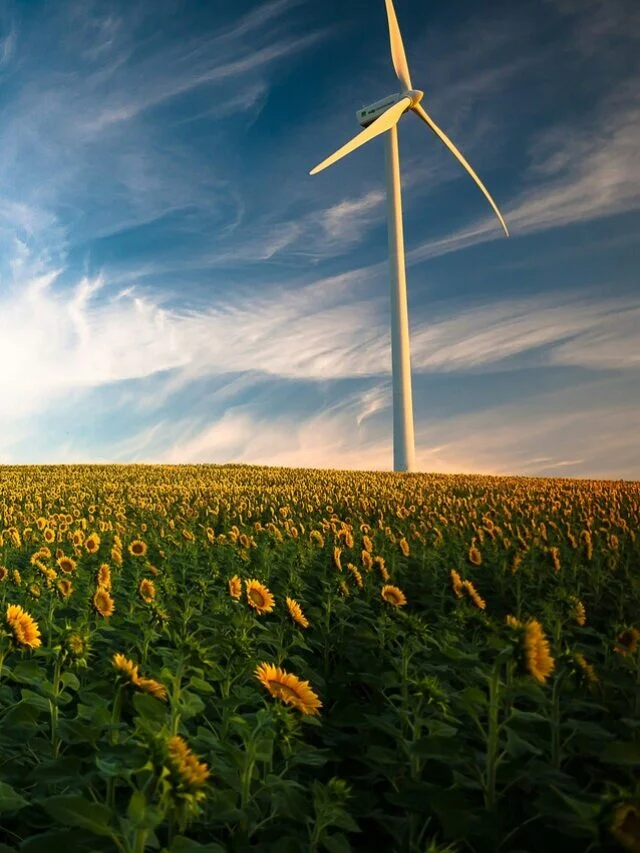 Soluções de Sustentabilidade