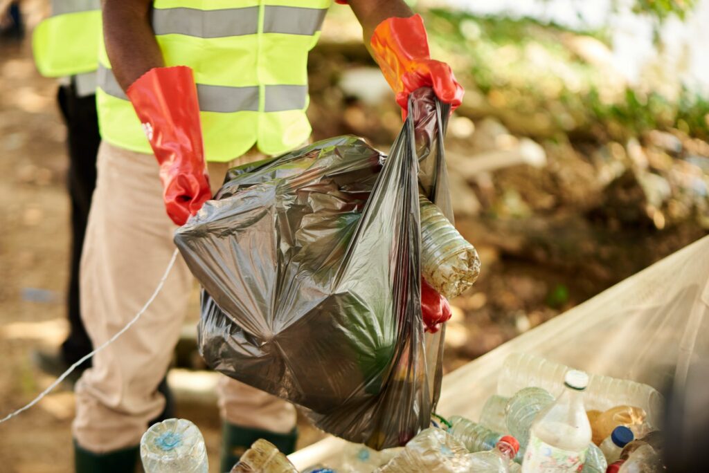 Poluição ambiental