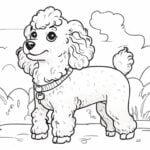 desenho para colorir de Poodle