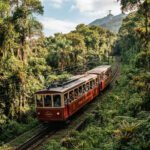 Trem do Corcovado atravessando a mata atlântica a caminho do Cristo Redentor
